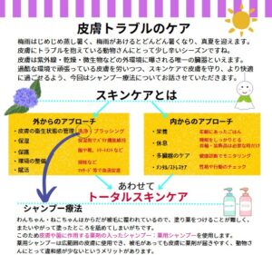 おにたまレター vol.59夏号 2025JULY