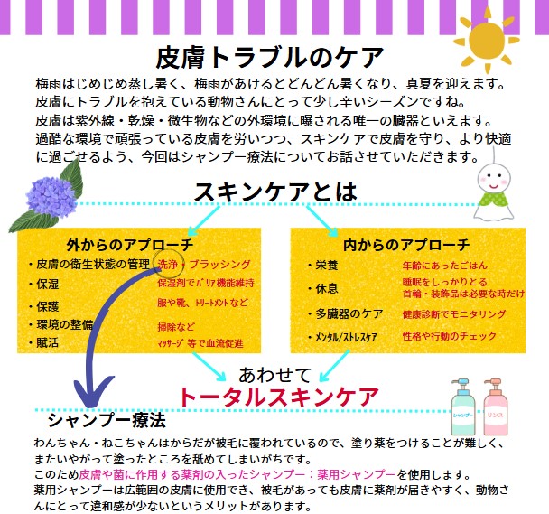 おにたまレター vol.59夏号 2025JULY
