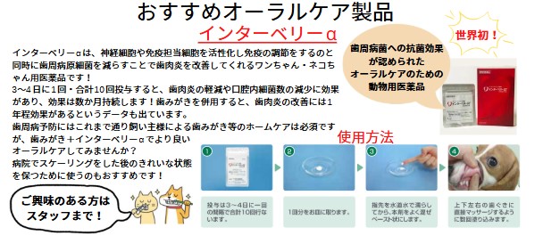 おにたまレター vol.59夏号 2025JULY
