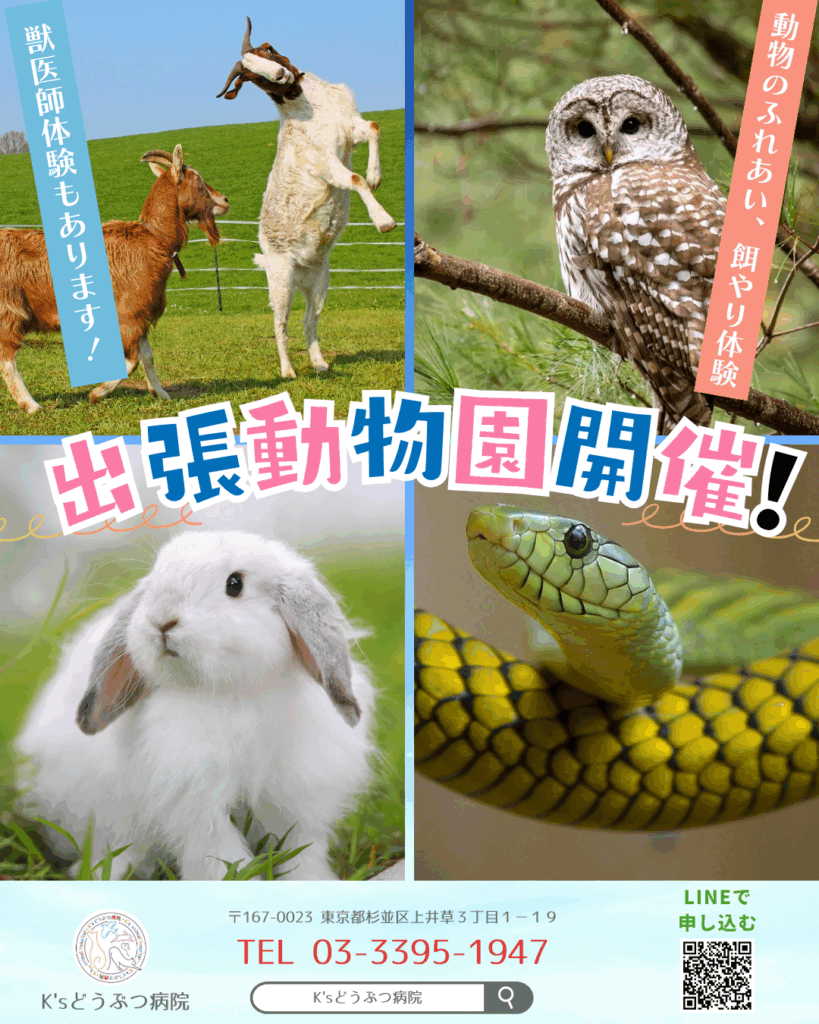 出張動物園