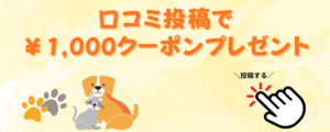 口コミ施策