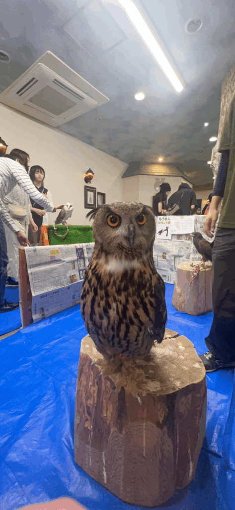 出張動物園_20251019