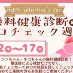 2026バレンタイン特別企画