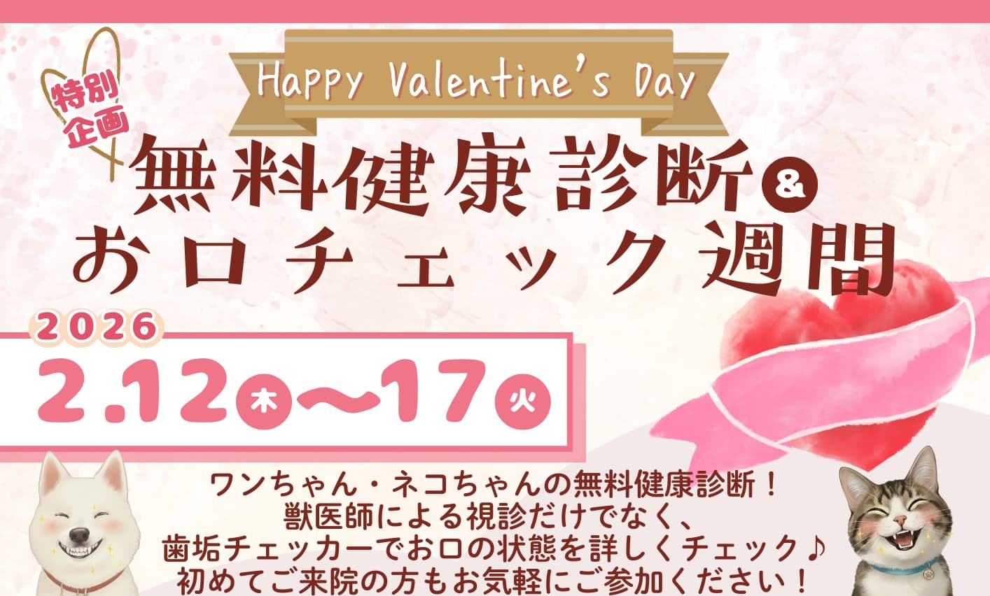 2026バレンタイン特別企画