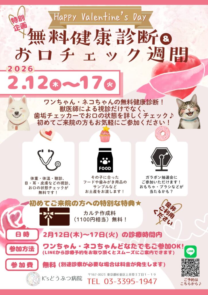 2026バレンタイン特別企画