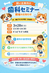 歯科セミナー_20260328