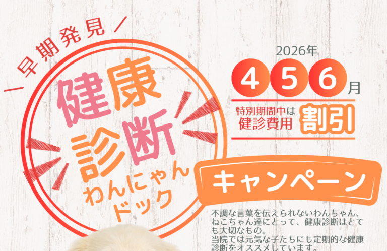 2026年春健診キャンペーン