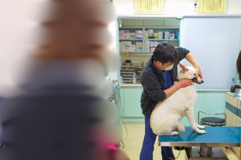 260328歯科セミナー_1