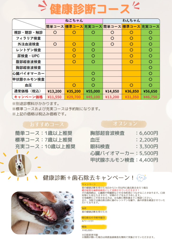 2026年春健診キャンペーン
