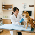 狂犬病予防接種・登録の流れ
