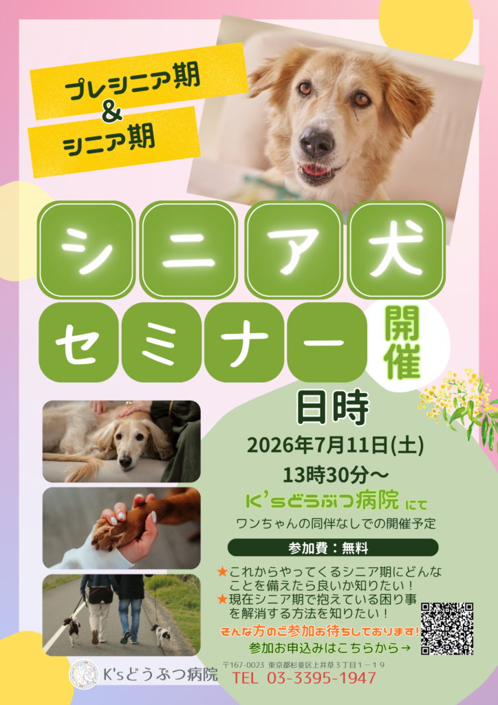 シニア犬セミナー20260711