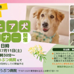 老犬セミナー_260711
