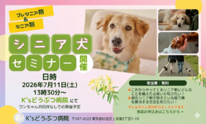 老犬セミナー_260711