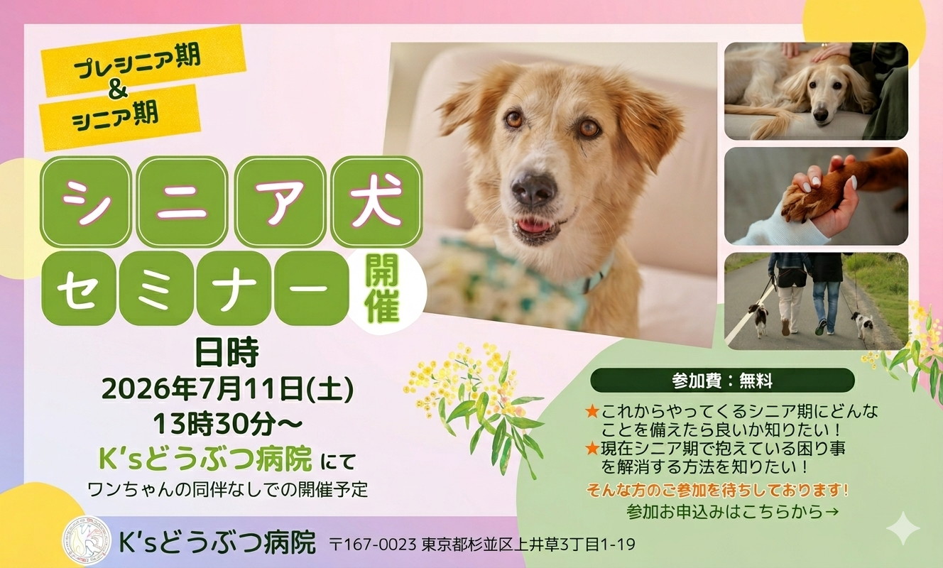 老犬セミナー_260711